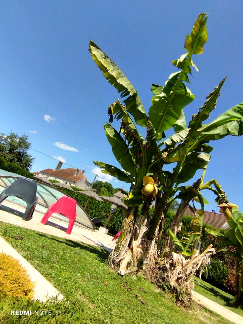 445387480_494233259777920_2902317680691349225_n