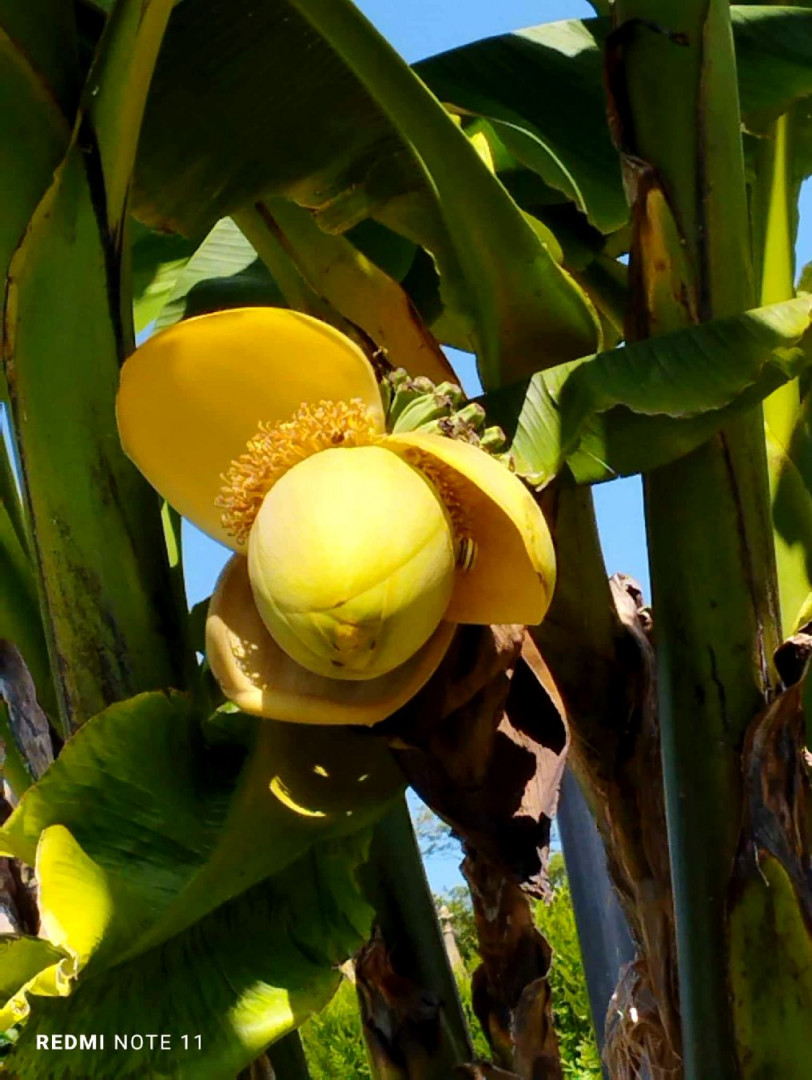 447843404_3377233975909967_3054236471709474457_n