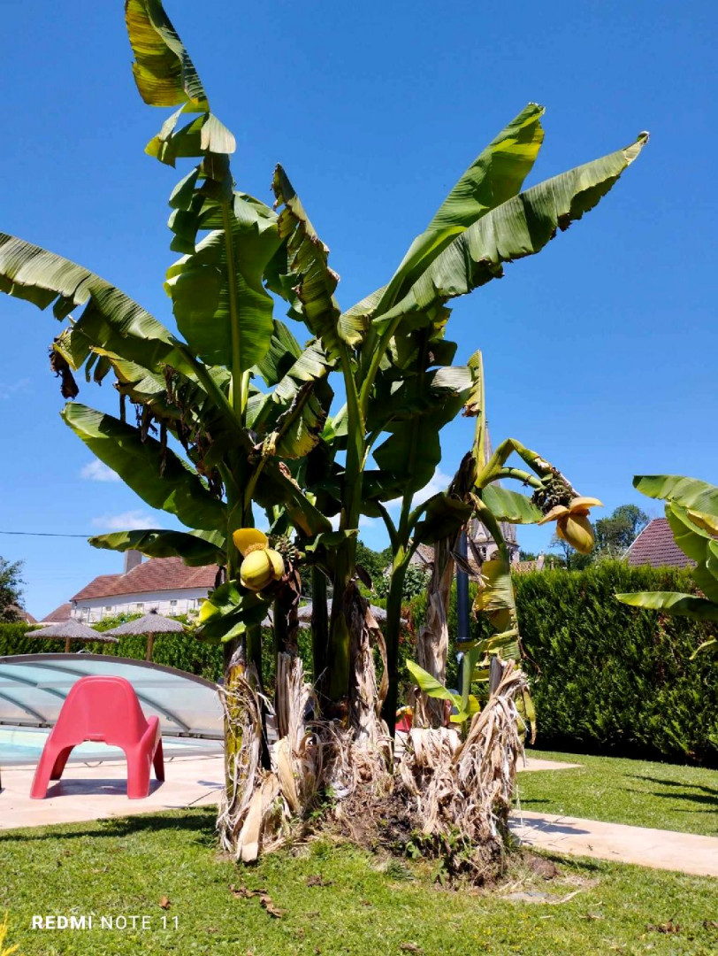 448159938_7997989890258875_6349809300754860828_n(1)