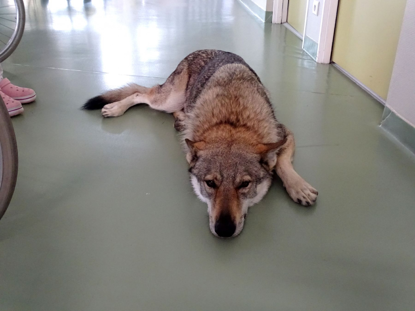 Anniversaires nés en aout fétés le 04 09 2024 (50)